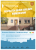 Flyer INSEK